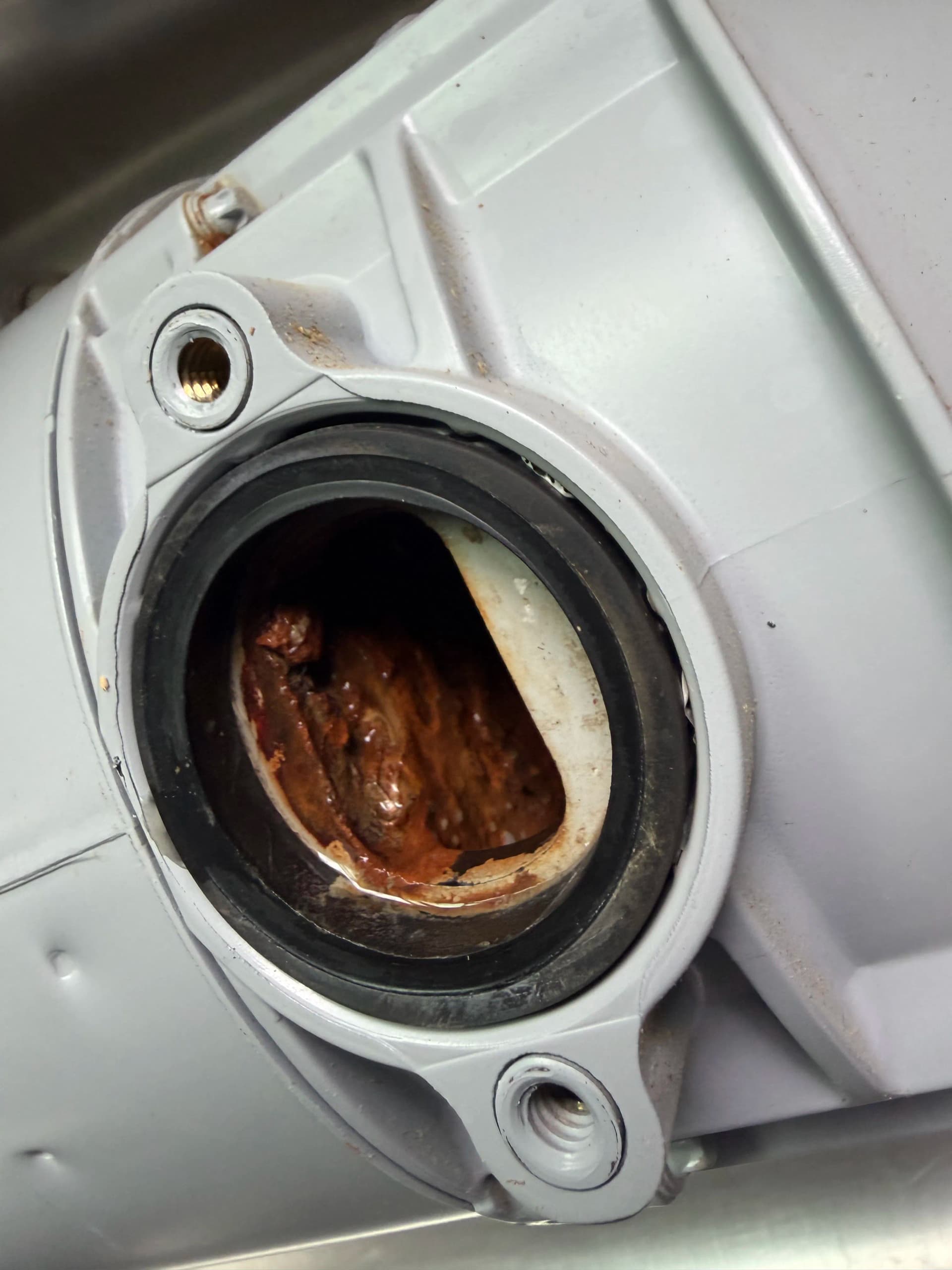 Gallery photos for Rusty Garbage Disposal Found During Routine Maintenance: Image #1